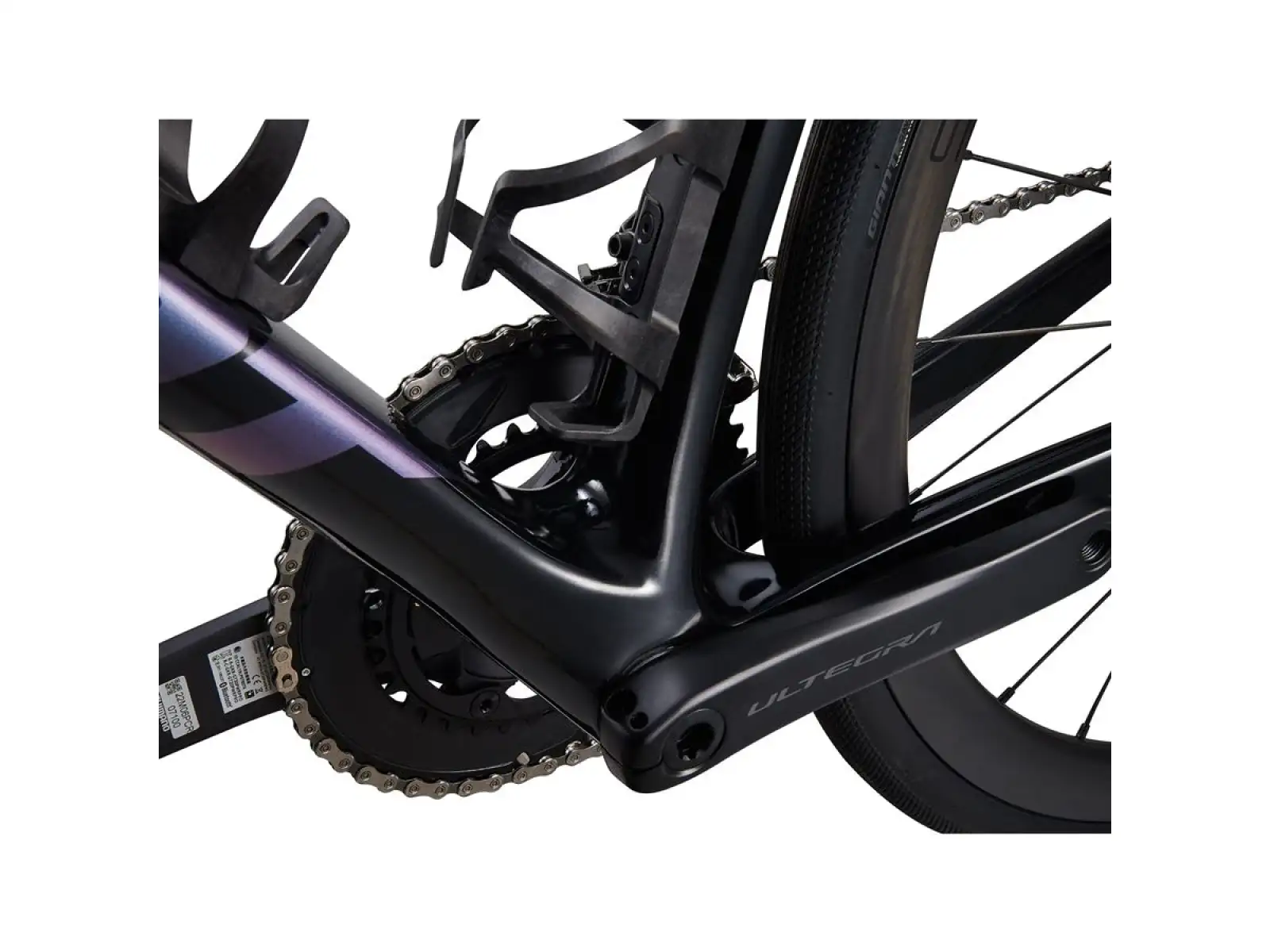 Giant Defy Advanced Pro 0 road bike carbon/bluedragonfly