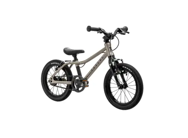 Rascal 14 children's bike Titanium