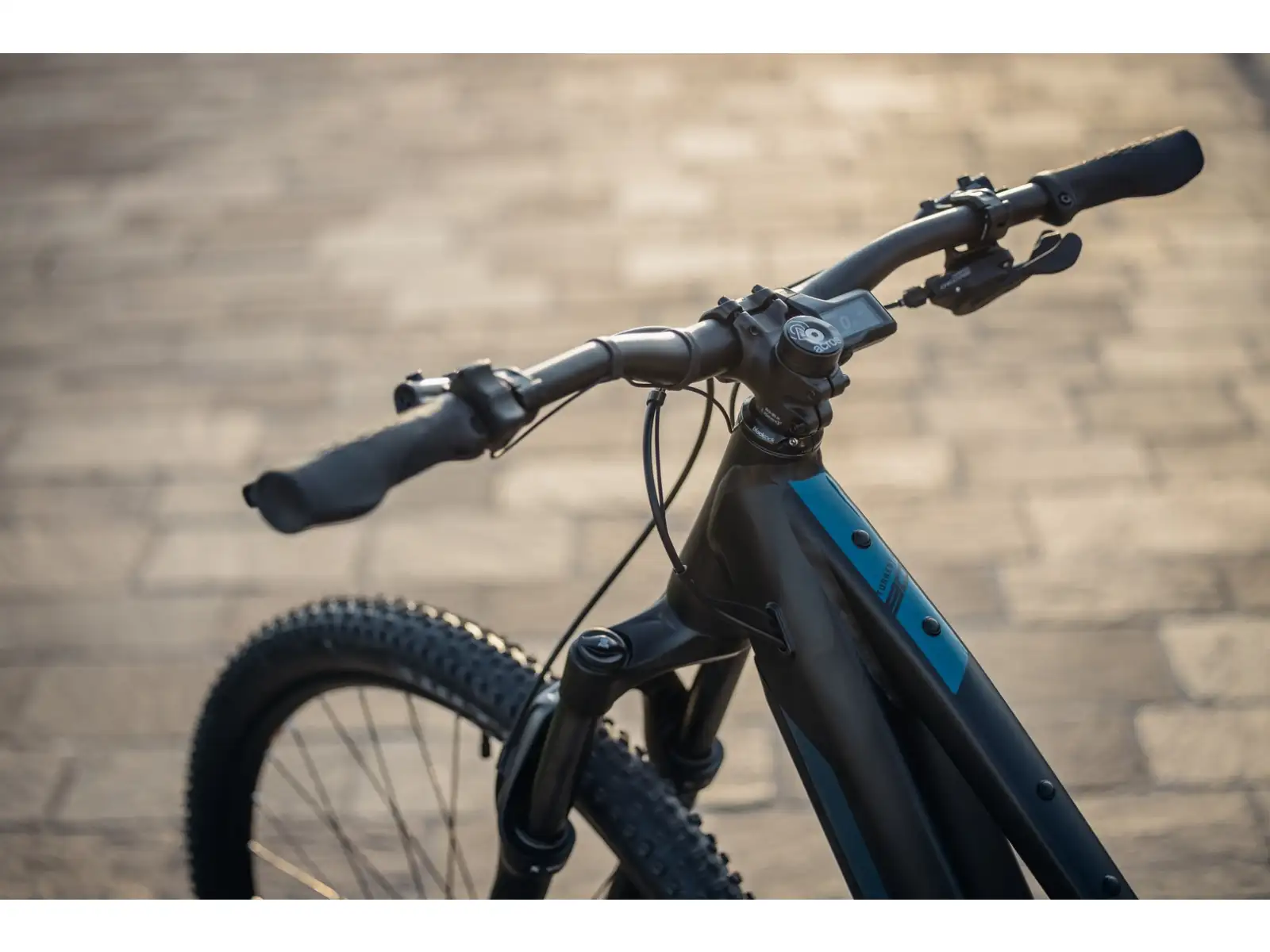 Rock Machine Torrent E90-29 Easy Entry mountain e-bike Petrol SAMPLE