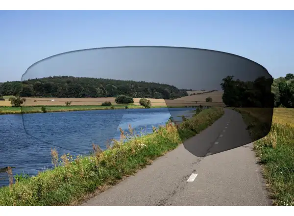 Force Mantra replacement lenses photochromic