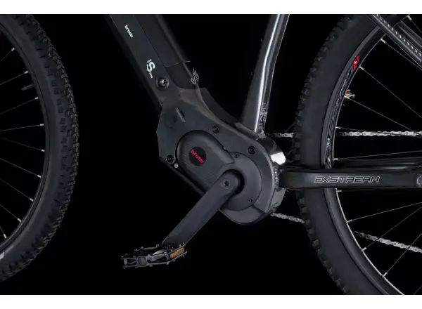 4EVER Exstream Team 820 mountain e-bike Grey diamond/silver