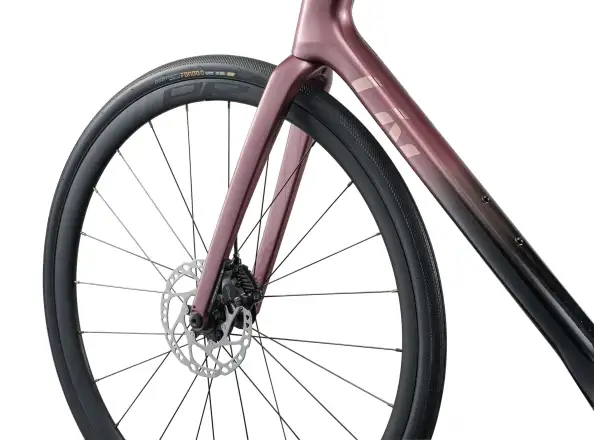 Liv Avail Advanced 1 road bike Iron Rouge/Carbon