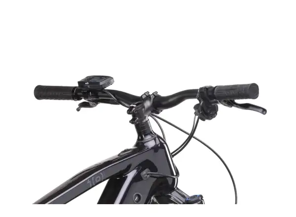 Crussis e-Atland 10.10-L (900 Wh) mountain e-bike