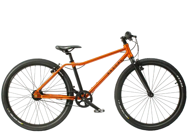 Rascal 26 5 sp. Sturmey Archer children's bike Flame