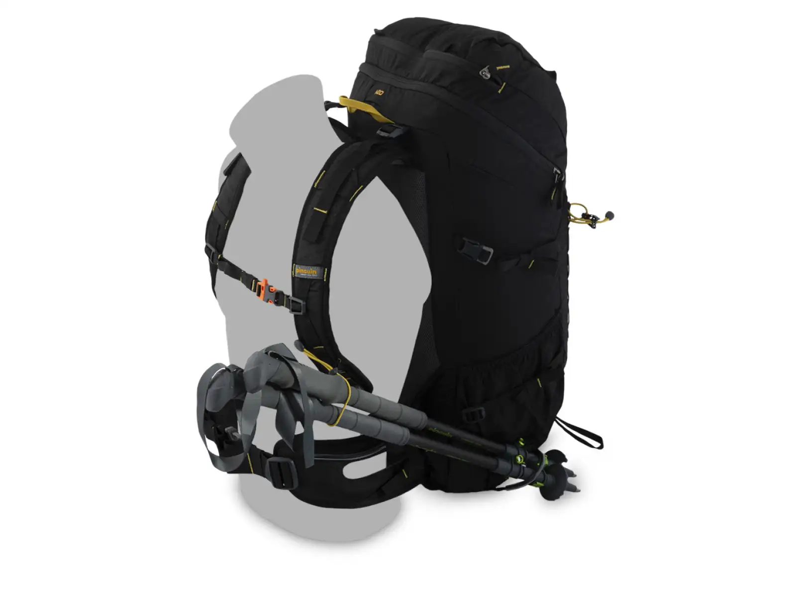 Pinguin Trail 42 Backpack green