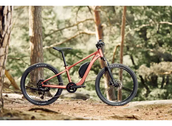 Giant Talon E+ Junior 24 kids e-bike Terracotta