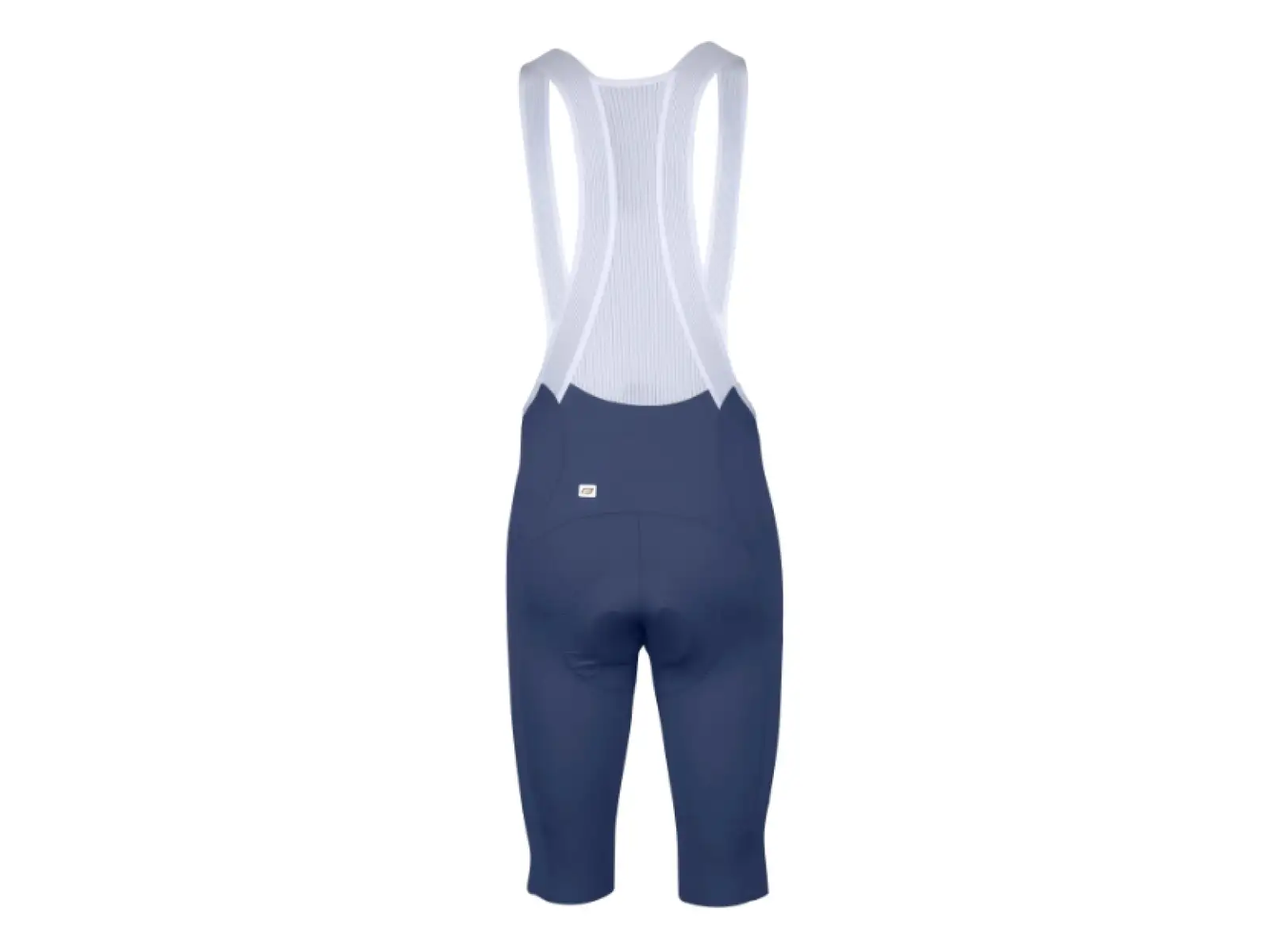 Force Mono men's shorts with padding and bib blue