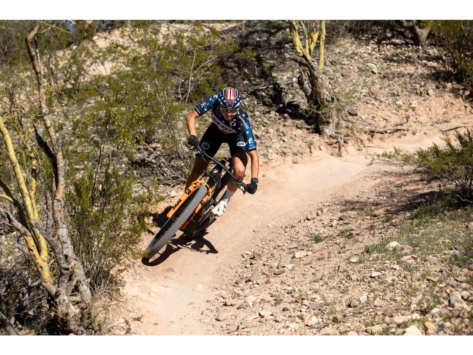 Kenda K-Series Dagger XC, TR 29x2,40" MTB tire kevlar brown