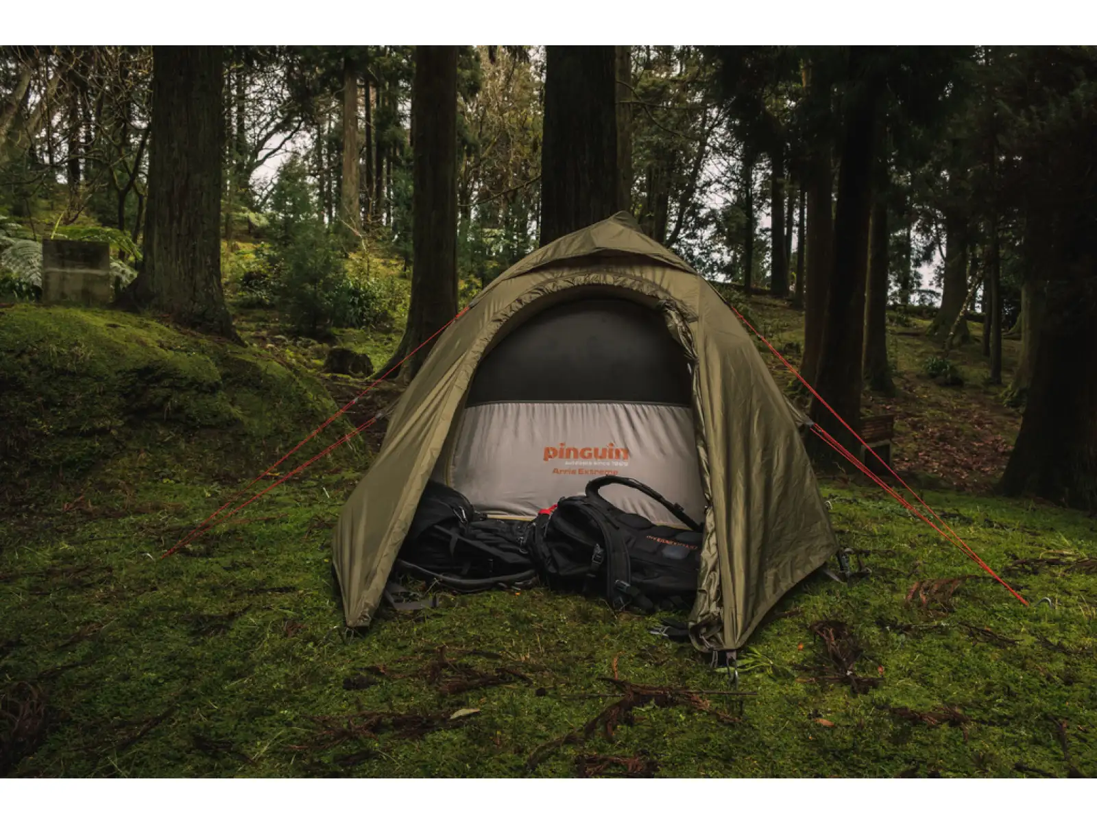 Pinguin Arris Extreme DAC Tent 2 persons orange