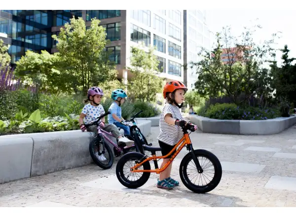 Rascal Punk children's balance bike Titanium