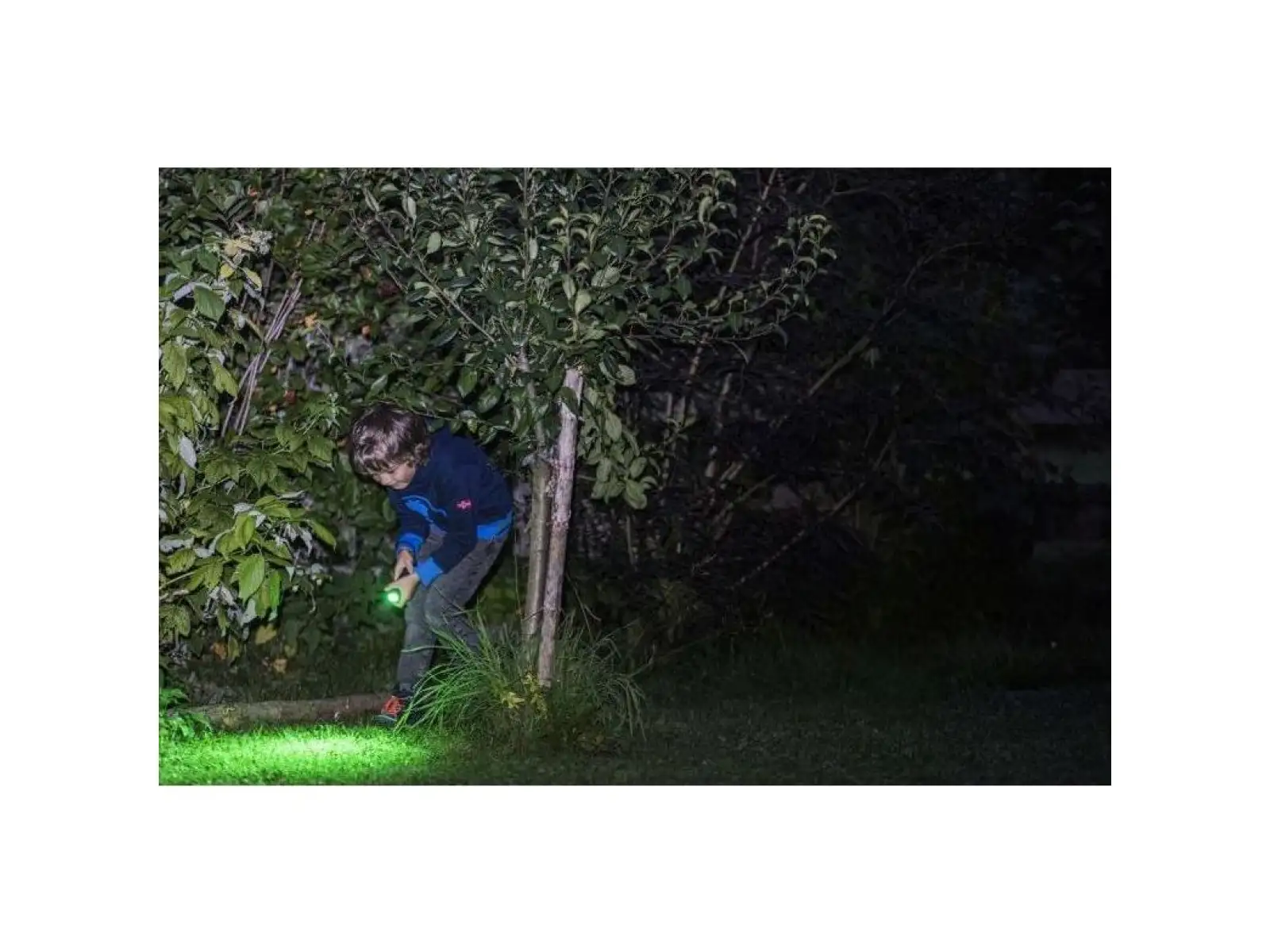 Ledlenser KidBeam4 Dino Flashlight
