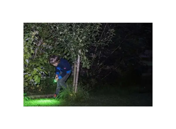 Ledlenser KidBeam4 Dino Flashlight