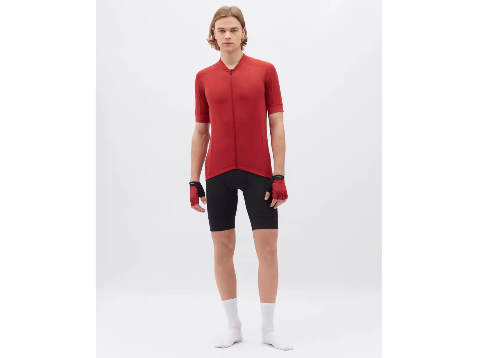 Silvini Carnio men's jersey short sleeve Merlot