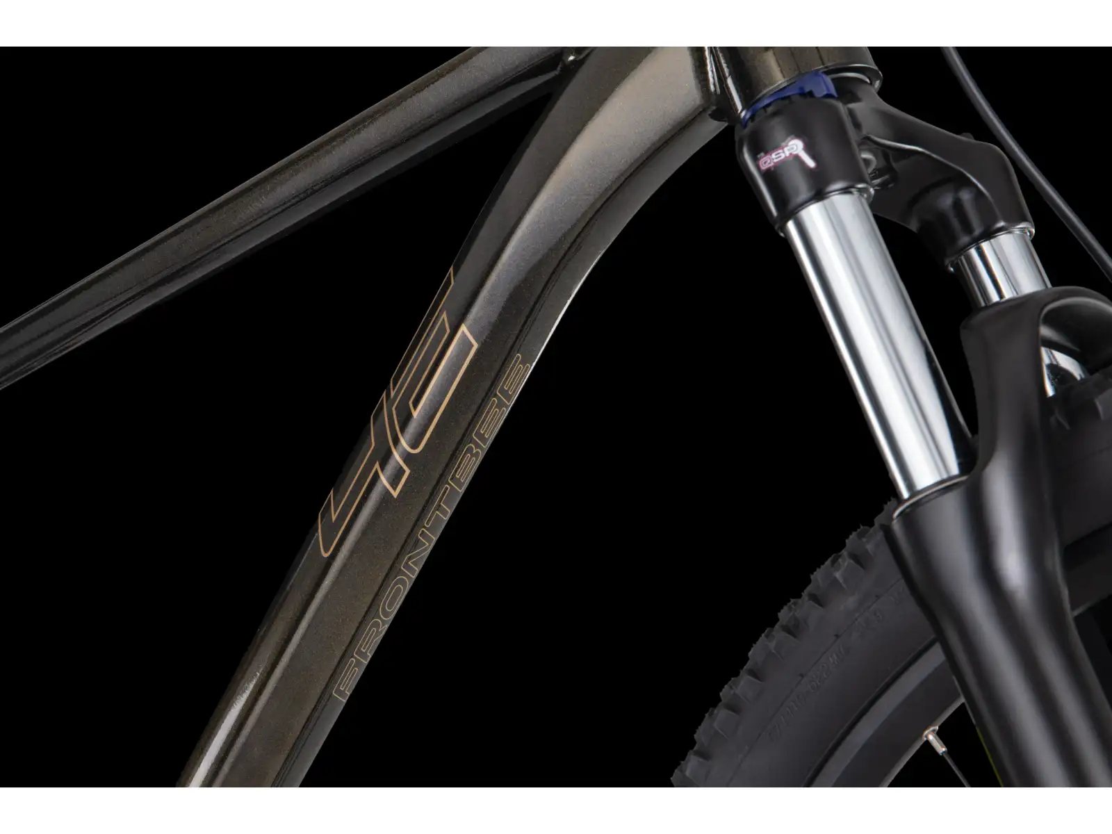 4Ever Frontbee XCM 29" mountain bike Gold galaxy
