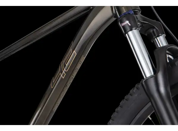 4Ever Frontbee XCM 29" mountain bike Gold galaxy