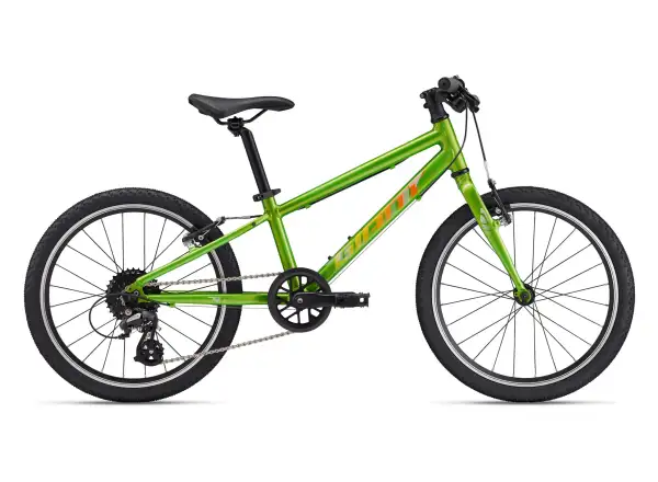 Giant ARX 20 kids' bike Metallic Green