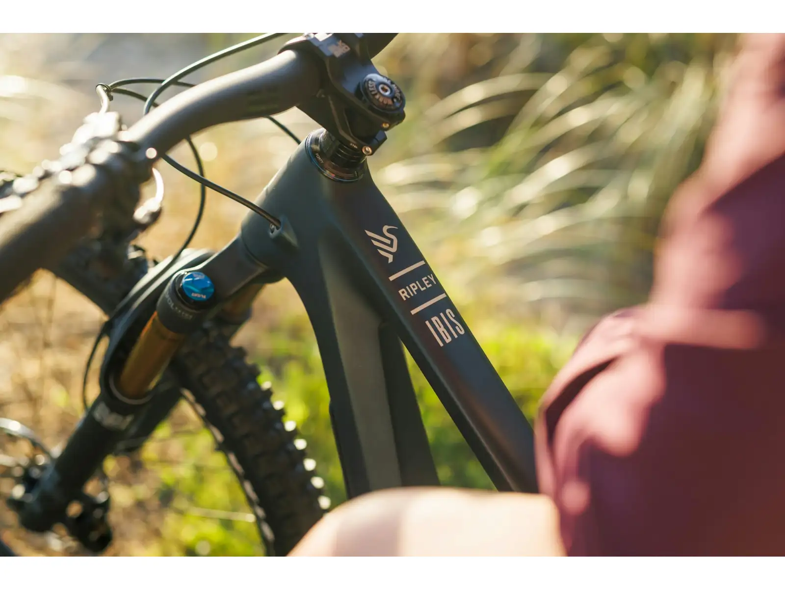 Ibis Ripley V5 Eagle 90 mountain bike Blue Hour