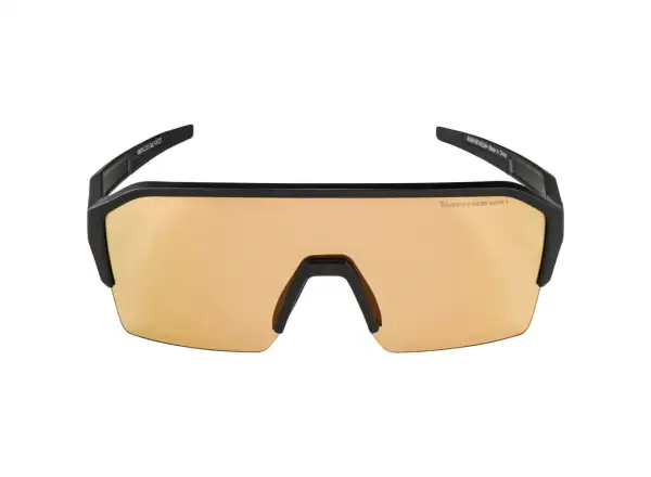 Alpina Ram HR Q-Lite V glasses Black Matt
