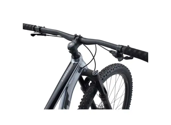Giant Stance 29 2 mountain bike knight shield