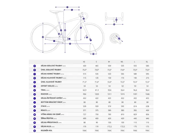 Giant Contend AR 1 road bike Frost Silver