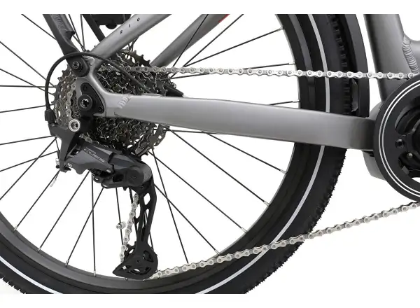 APACHE Rio Grande 1 MX 720 Wh low-step electric bike anthracite