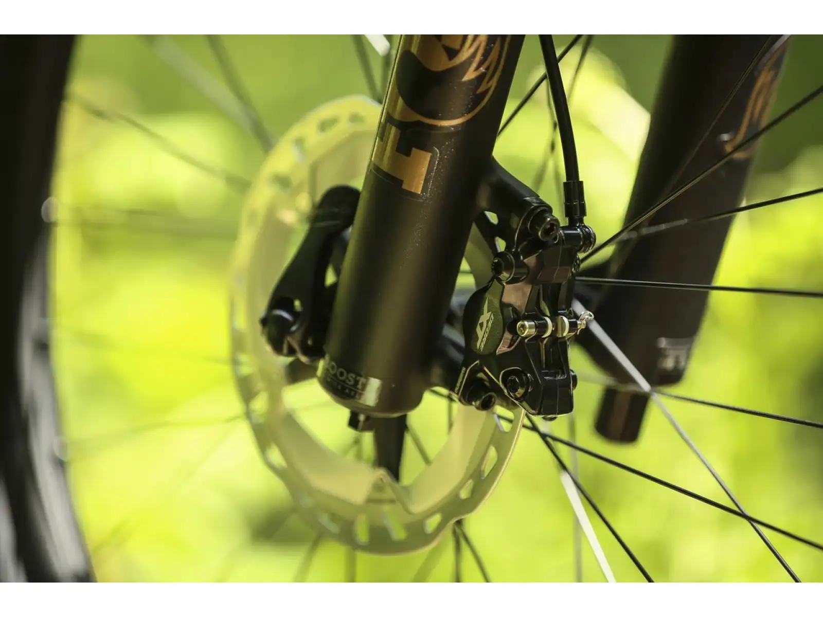 Shimano XT BR-M8100 + BL-M8100 disc brake set front + rear, polymer, J-kit