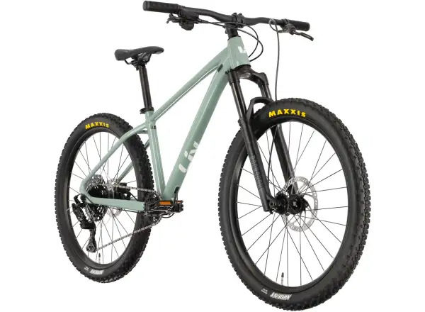 Liv STP 26 M kids mountain bike Eucalyptus