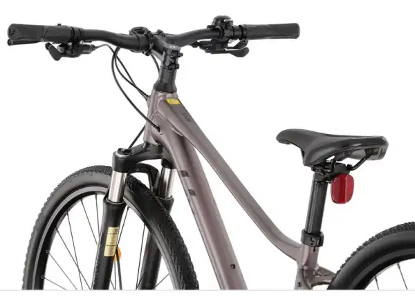 Liv Rove 1 DD women's trekking bike Dark Eclipse