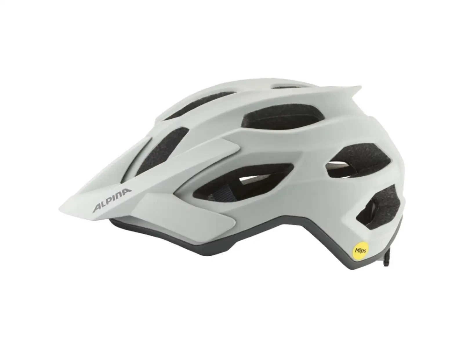 Alpina Apax MIPS cycling helmet Smoke/Grey Matt