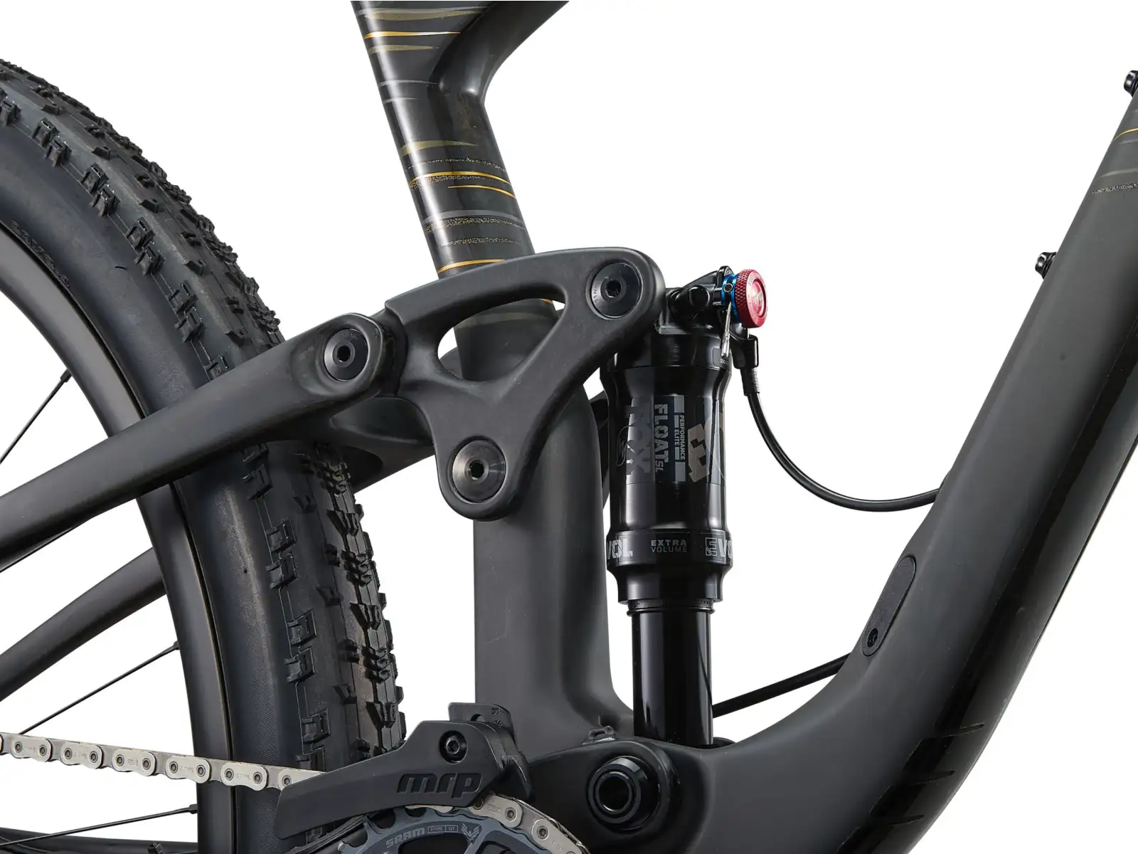 Liv Pique Advanced 29 1 mountain bike Raw Carbon
