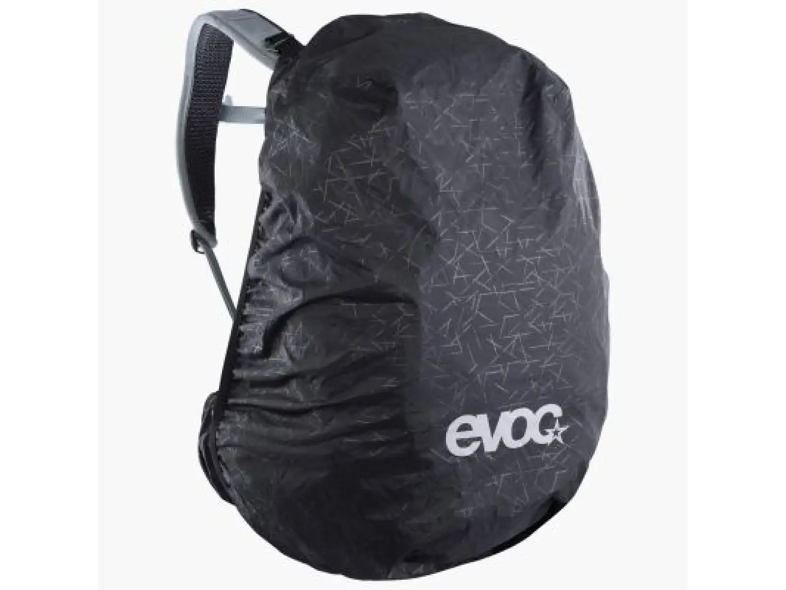 Evoc Explorer Pro 30 l backpack Silver