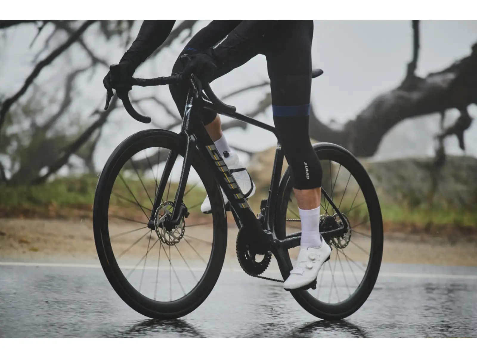 Giant TCR Advanced Pro 1 Di2 road bike Carbon