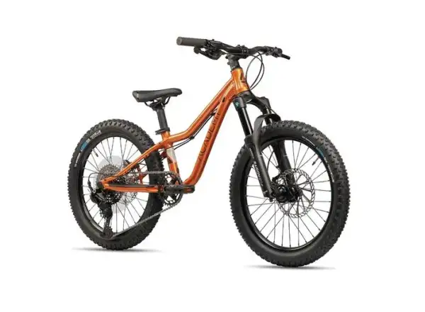 Academy S-Grade Trail 4 kids bike 20" orange