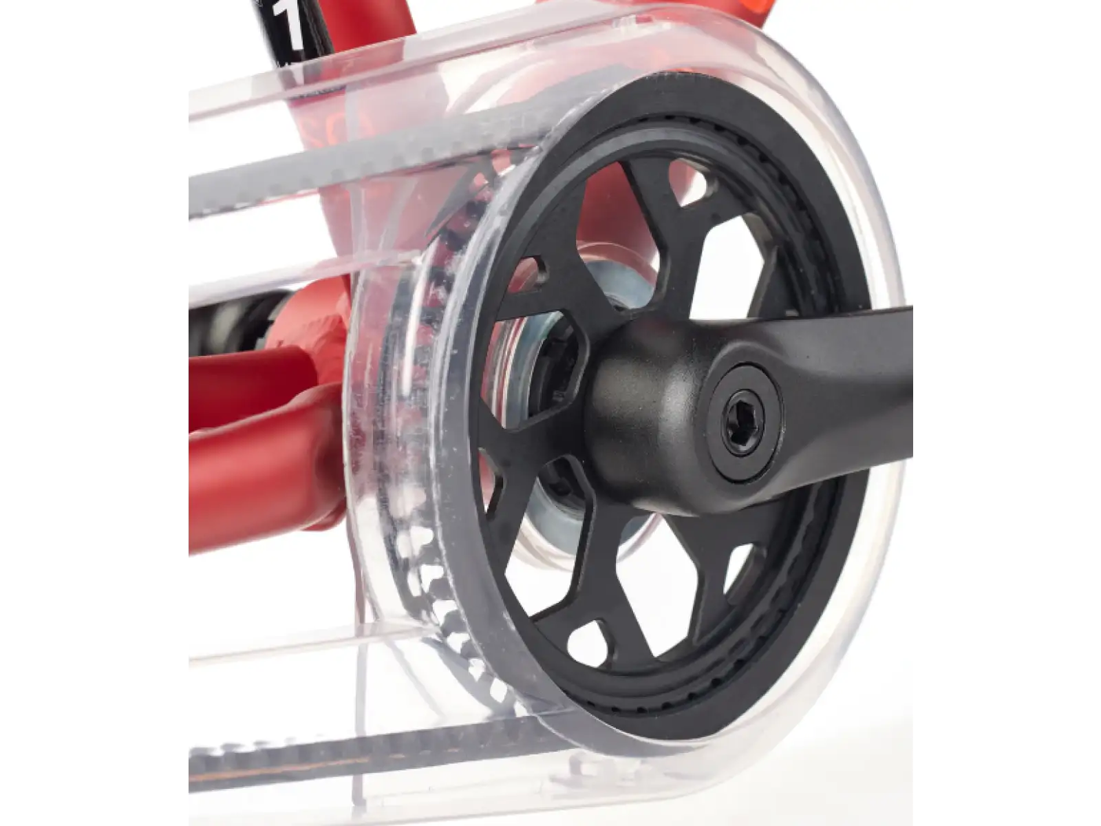 Academy Grade 2 Belt kids bike 14" red