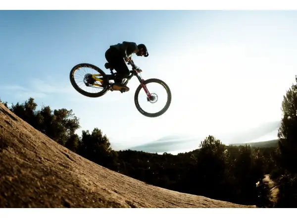 Cannondale Bad Habit 1 mountain bike RAW Carbon