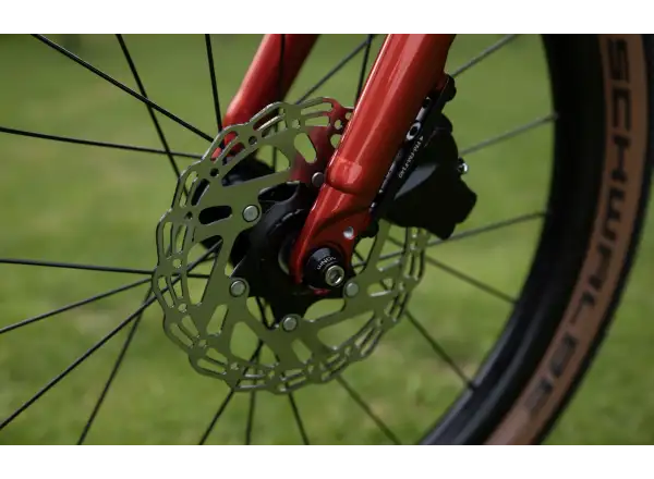 Superior TEAM 20 kids bike Gloss Brushed Alu / Red