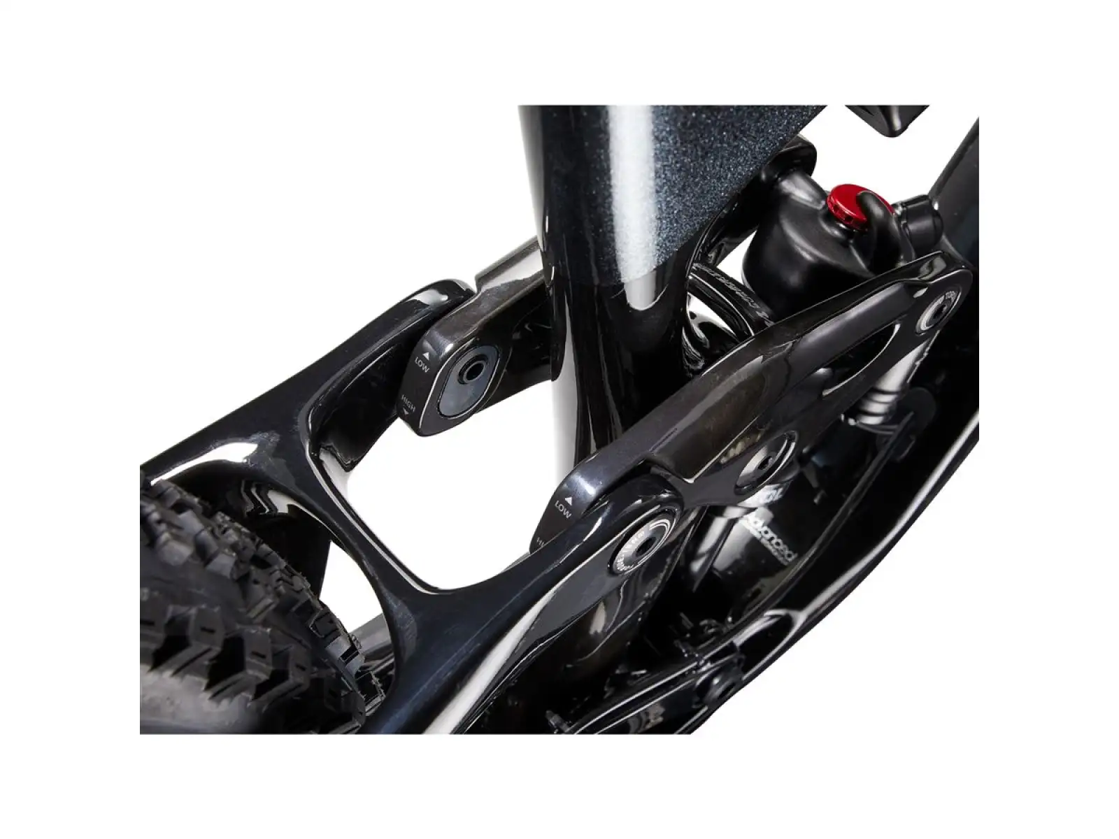 Giant Trance Advanced Pro 29 1 mountain bike carbon/black diamond