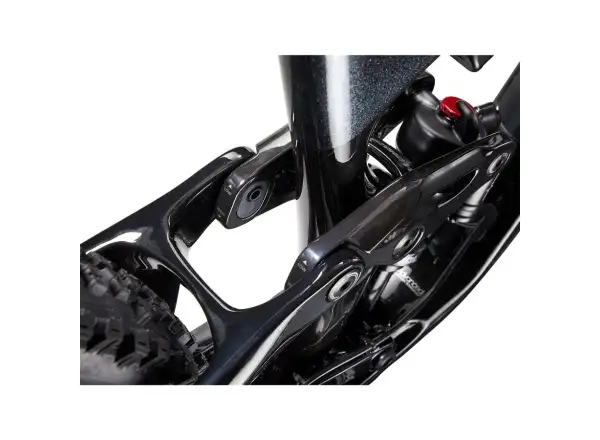 Giant Trance Advanced Pro 29 1 mountain bike carbon/black diamond