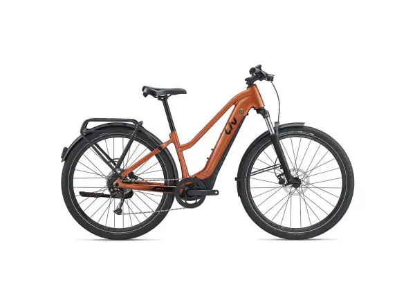 Liv Amiti E+ 2 S Copper Coin trekking e-bike