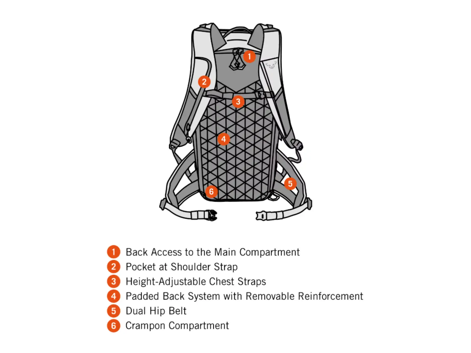 Dynafit Free backpack 34 l Storm Blue/Blueberry