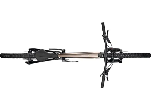 Focus Raven 8.9 DI 29" mountain bike Silver Glossy / Carbon Raw Glossy