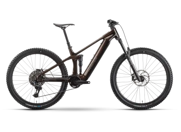 Raymon Durok Pro 29" 11s XT full-suspension e-bike Toffeebrown