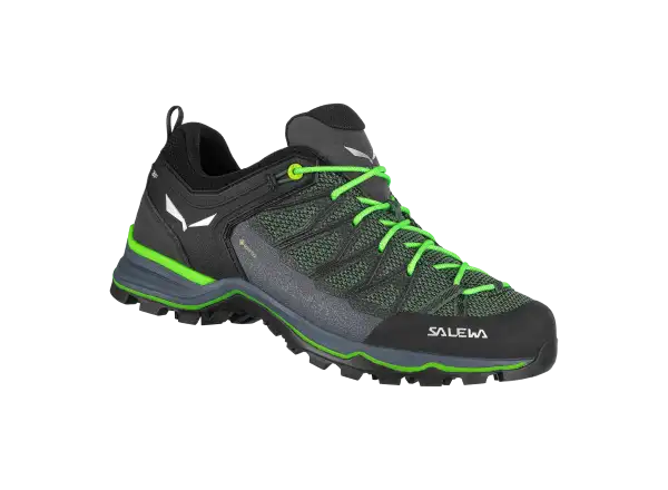 Salewa Mountain Trainer Lite GTX men's hiking boots Myrtle/Ombre Blue