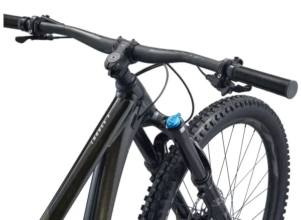 Giant Trance X 29 1 full suspension bike Panther