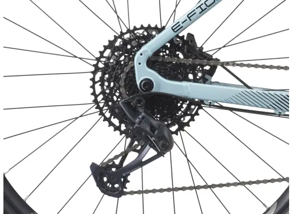 Crussis e-Fionna 10.10-L (900 Wh) mountain e-bike