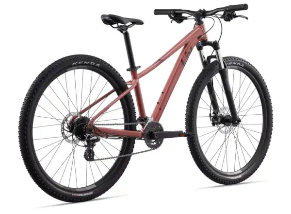 Liv Tempt 29 4 mountain bike Terra Roza