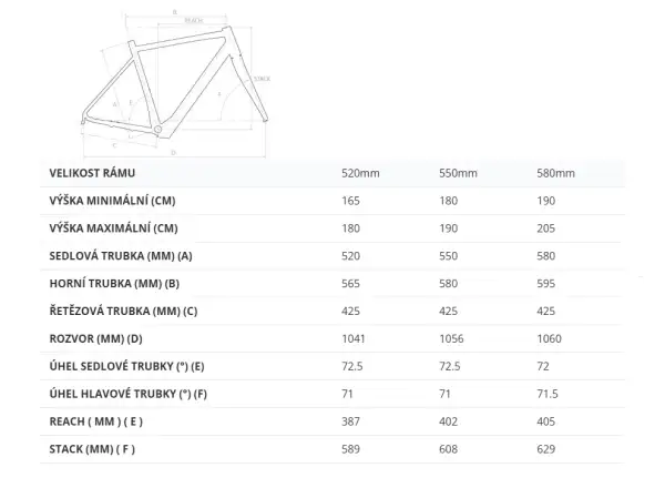 4EVER Engrave PRO gravel e-bike titan/metal gold