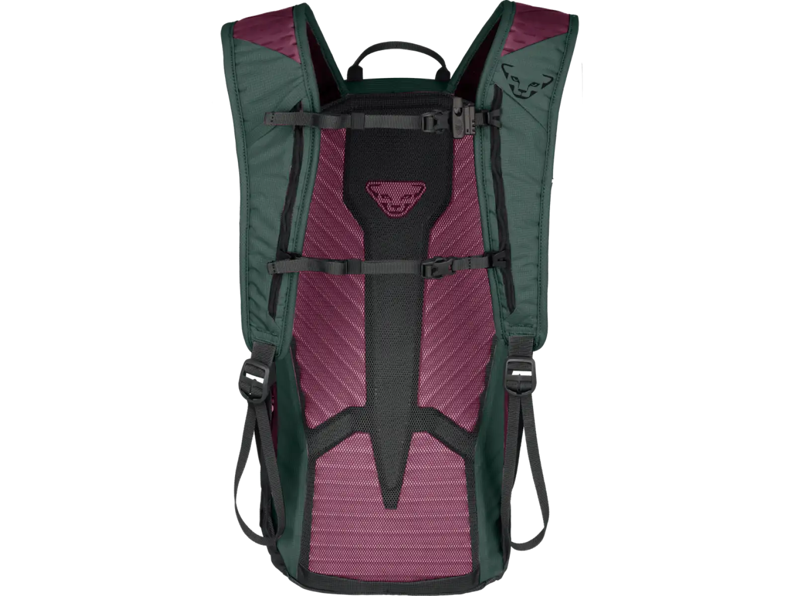 Dynafit Transalper 16 women's backpack Cinder/Black Out