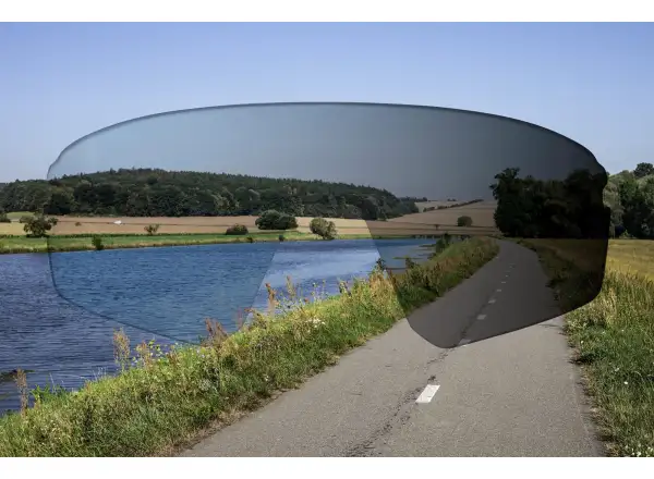 Force Electra replacement lens photochromatic