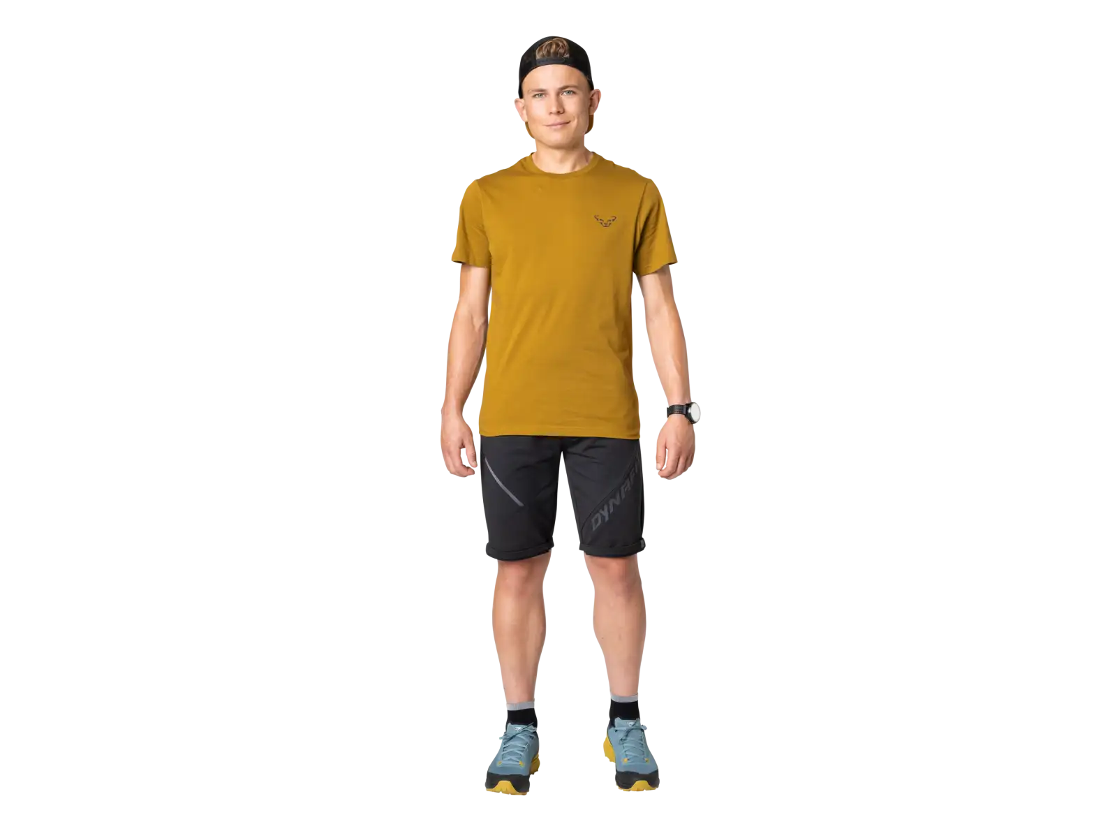 Dynafit 24/7 Graphic men's T-shirt Relic/Striped Elevation